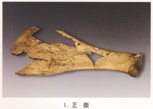 luoyang_bone_inscriptions_20081218_03