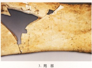 luoyang_bone_inscriptions_20081218_05