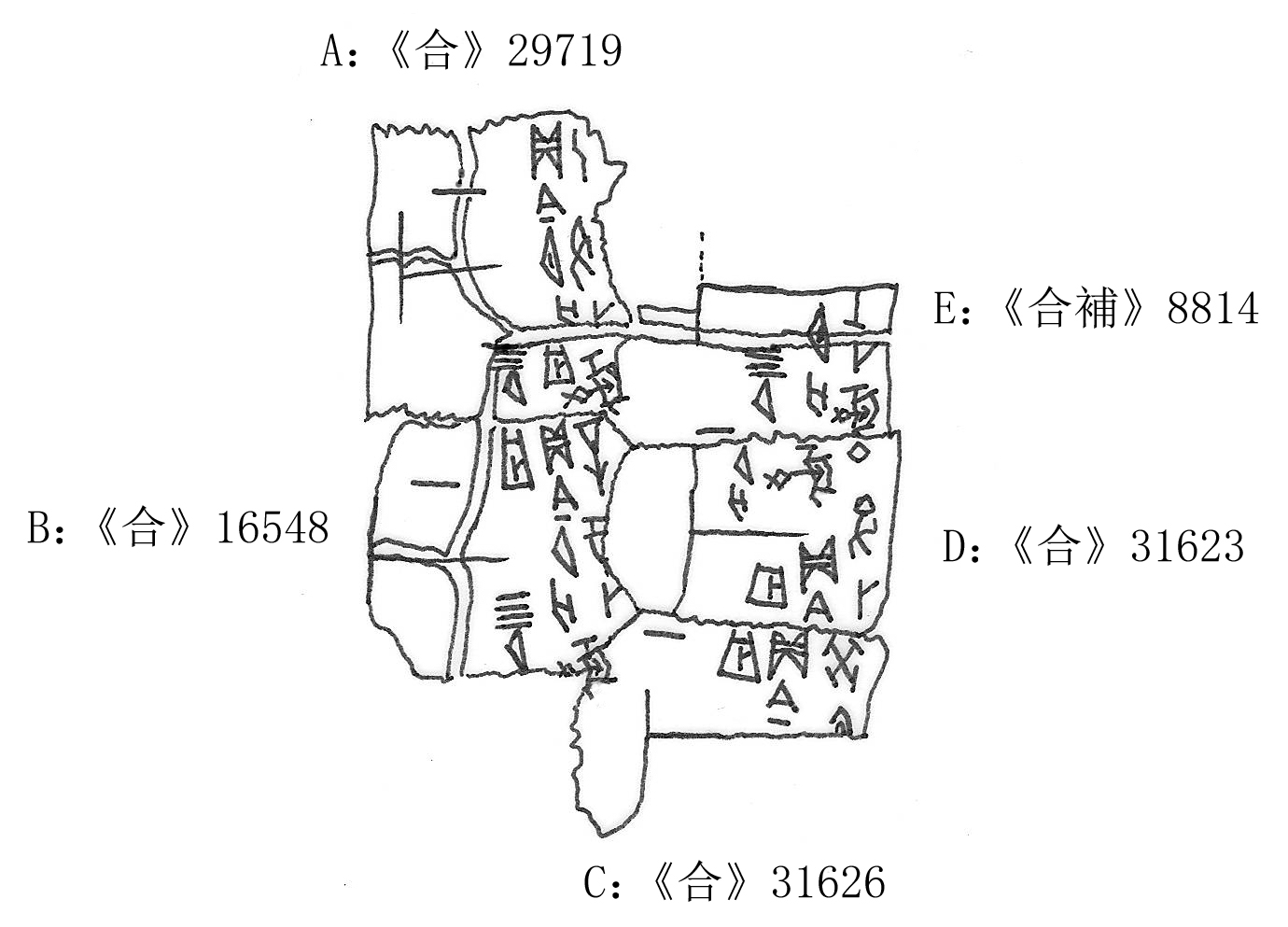 五個龜背甲綴合