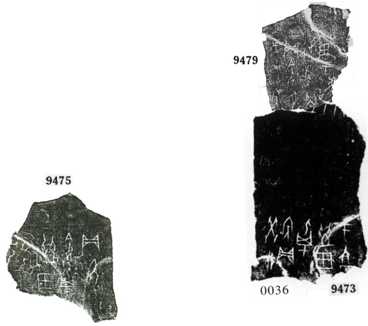 E:\2.輝文件\04.輝的綴合\正確，暫時不發表的\09473+09475+09479.jpg