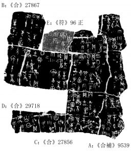 F:\我的綴合文稿\何组背甲缀合一则\合補9539+合27867+27856+29718+符96正 拷贝.jpg