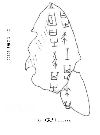 劉影《賓組新綴三則》補綴圖版