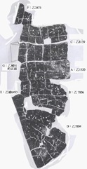 宋雅萍2010年2月10日背甲新綴第五例正small