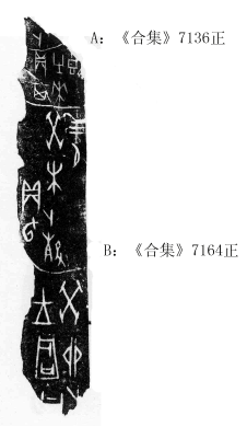 劉影2009年9月20日賓組正