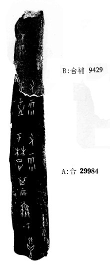 莫伯峰2009年12月16日無名組甲骨拼合五則之一