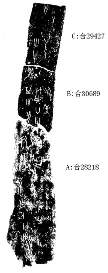莫伯峰2009年12月16日無名組甲骨拼合五則之二