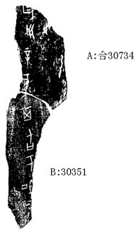莫伯峰2009年12月16日無名組甲骨拼合五則之五