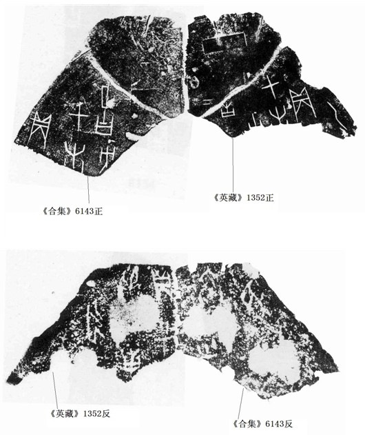 李延彥2009年10月30日賓組綴合