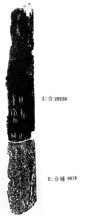 莫伯峰2009年12月23日無名組甲骨拼合六則之三