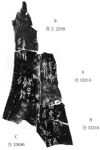 蔣玉斌2010年8月7日《甲骨文合集》綴合拾遺（第五十八組）