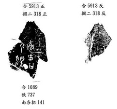 林宏明2010年4月4日第72組