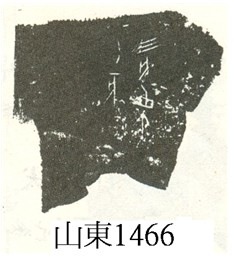 蔡哲茂2009年11月3日山東1466