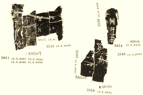 謝博霖2009年11月24日殷虛文字乙編綴合之一