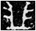 image13