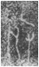 image38