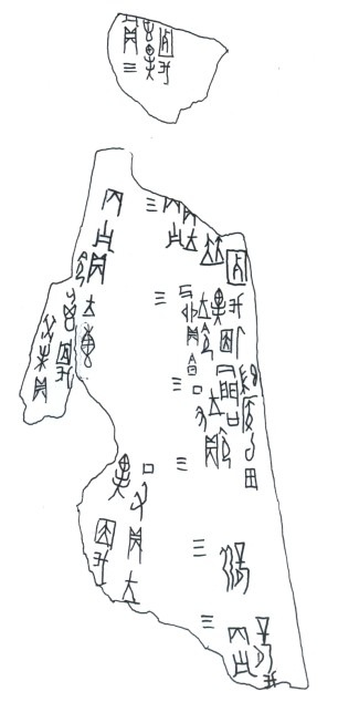 蔡哲茂2009年11月23日甲骨文合集15則摹本