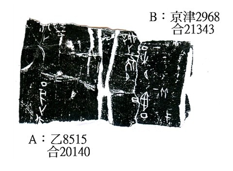 宋雅萍2010年1月11日第四例