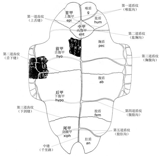 zhangjiudao20090803_02