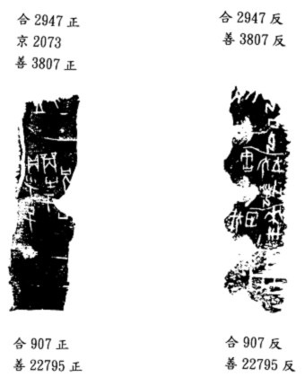 林宏明2010年4月8日第75组