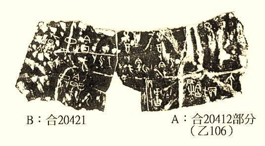 宋雅萍2009年11月23日背甲新綴二則之二