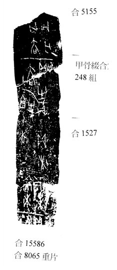 林宏明2009年11月3日新綴