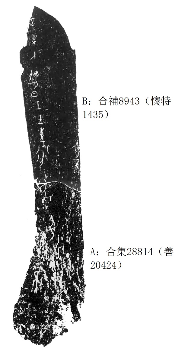 图片包含 文本

描述已自动生成