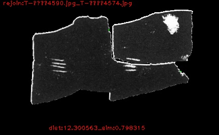 T-乙补4590_12.300563_0.798315_T-乙补4574