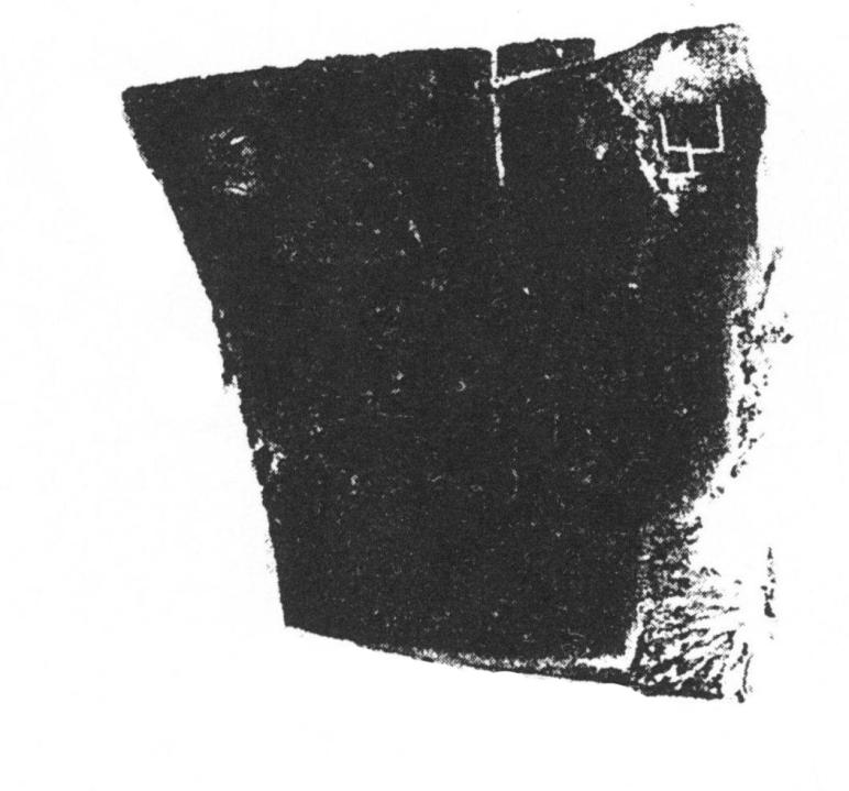 T-乙补2205