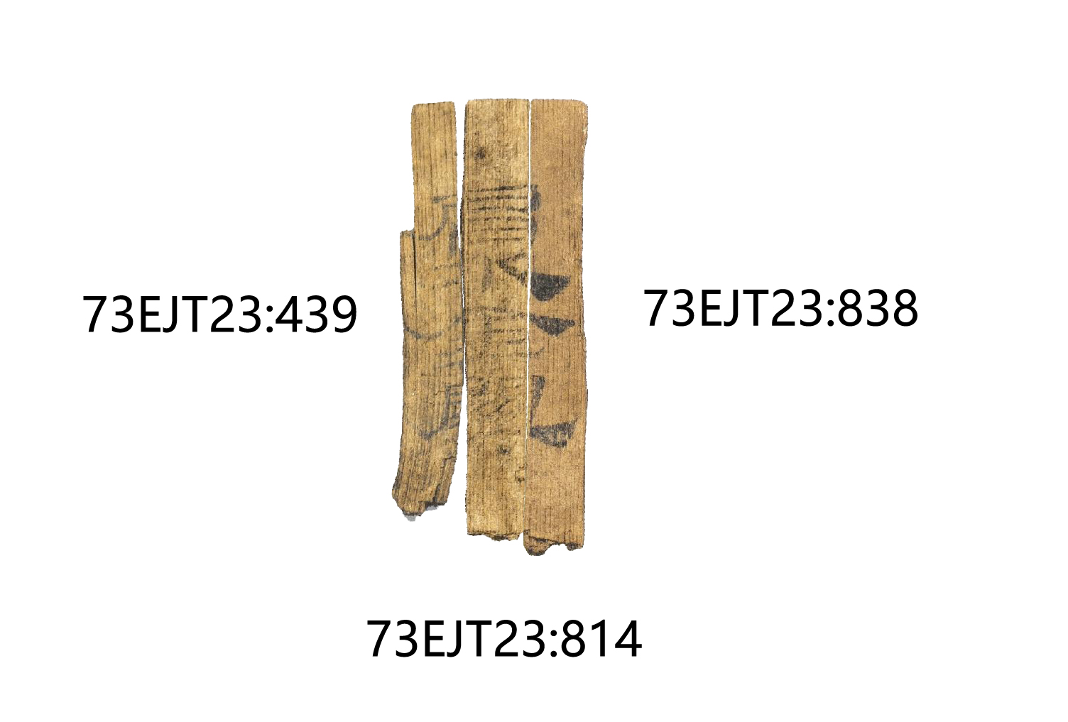73EJT23-439+73EJT23-814+73EJT23-838