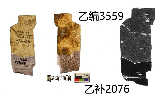 乙编3559+乙补2076