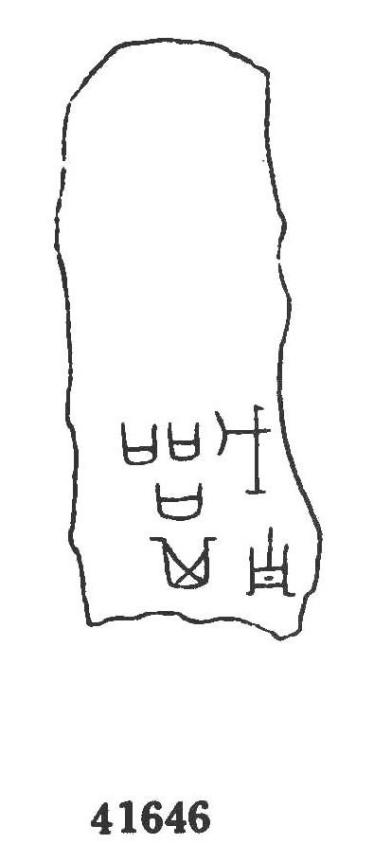 合集41646