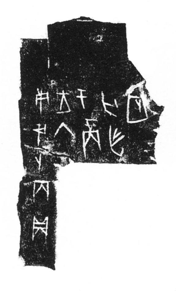 T-乙编8346