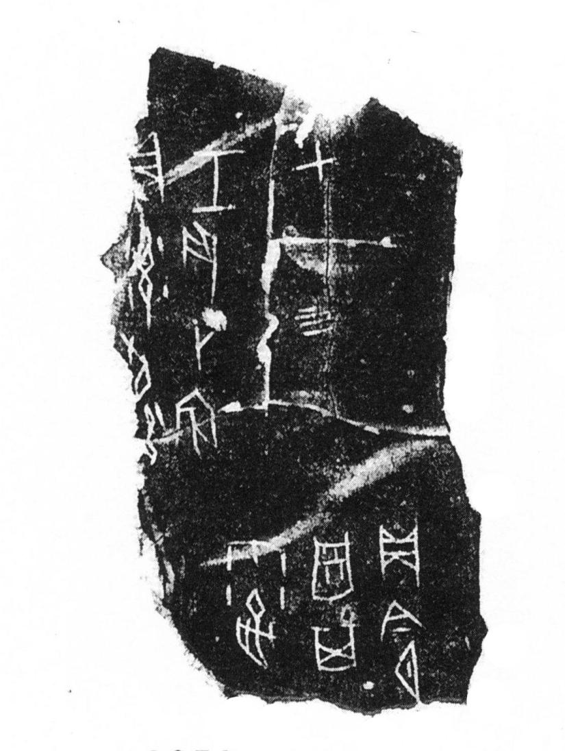 T-乙编8352