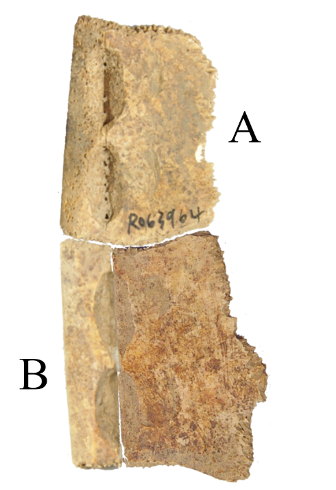 2c235377e692671529a75a85900db8c8