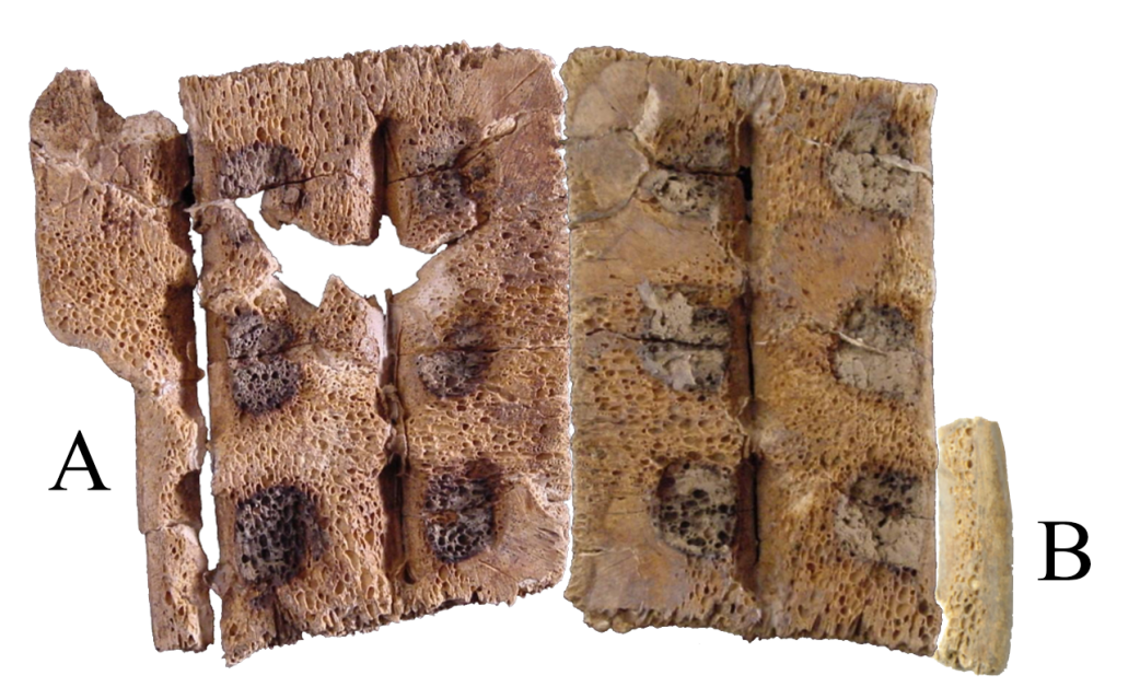 532b4cbc65f0535e3466245f2cd12cbd