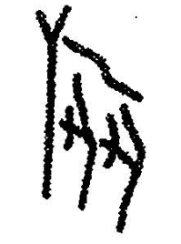 图片包含 看着, 空气, 飞行, 一群 AI 生成的内容可能不正确。