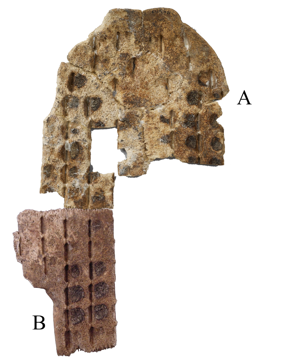 c219c1f96162f0b10295a6228935bcd2