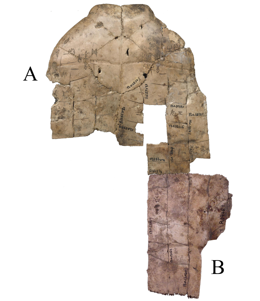 eb090553a64d4faf0d1de32d818ec68c