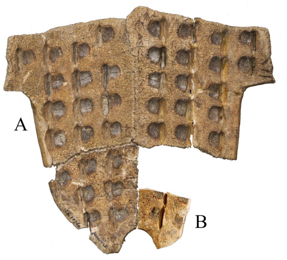 01cffa28e76b2db5206b7db400b2b3bd