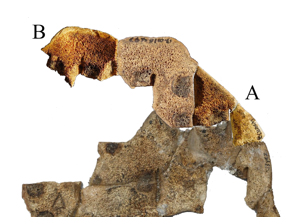 1e78096cd7d37d9a0f7c538f9f7a5afd