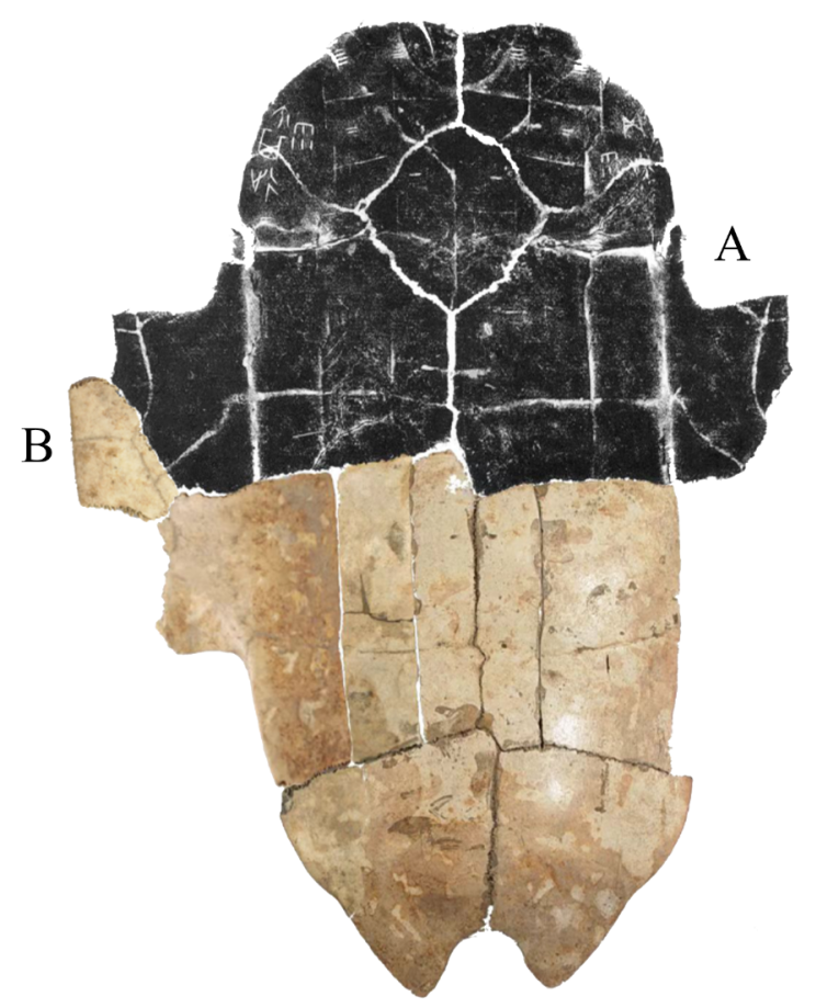 6677328f735afa3c649d947a9f856be9