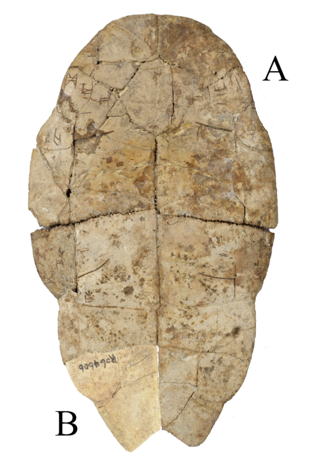 b5355fc90aa964204a61bf04b3b2e2b6