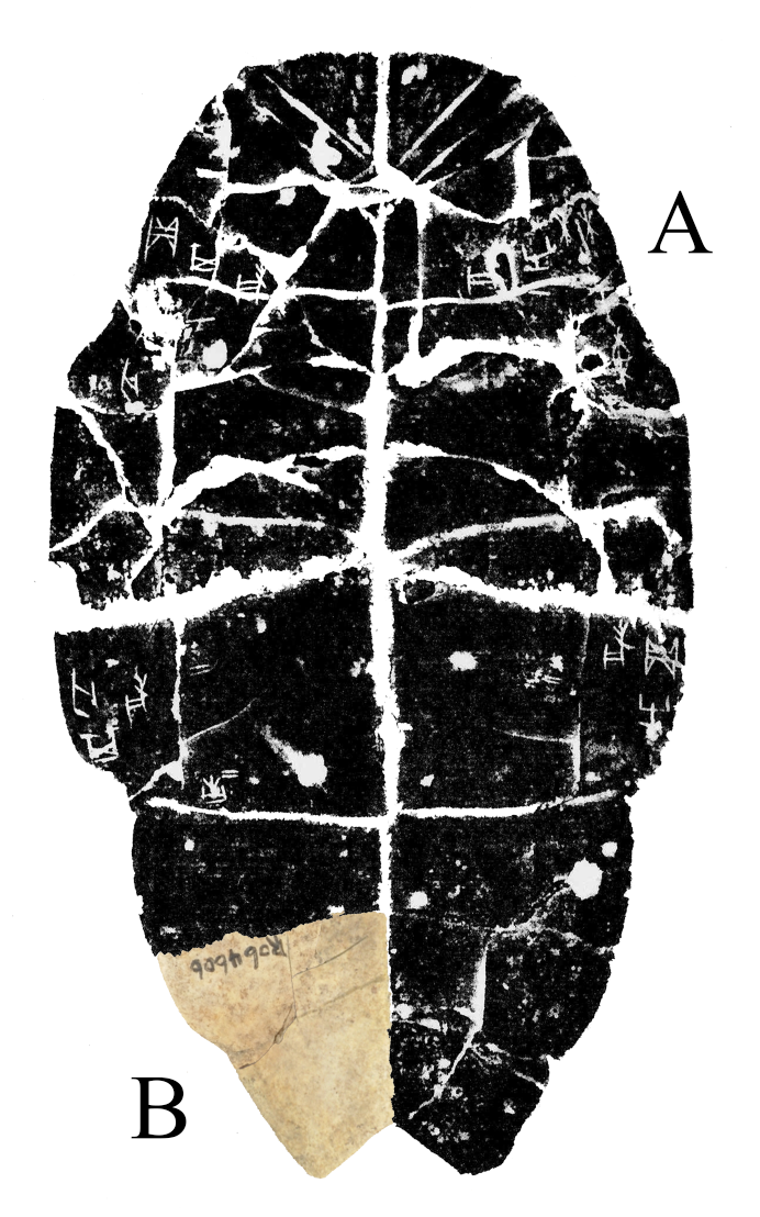 f26c369b4bdd7016b00ffe8101ef720f