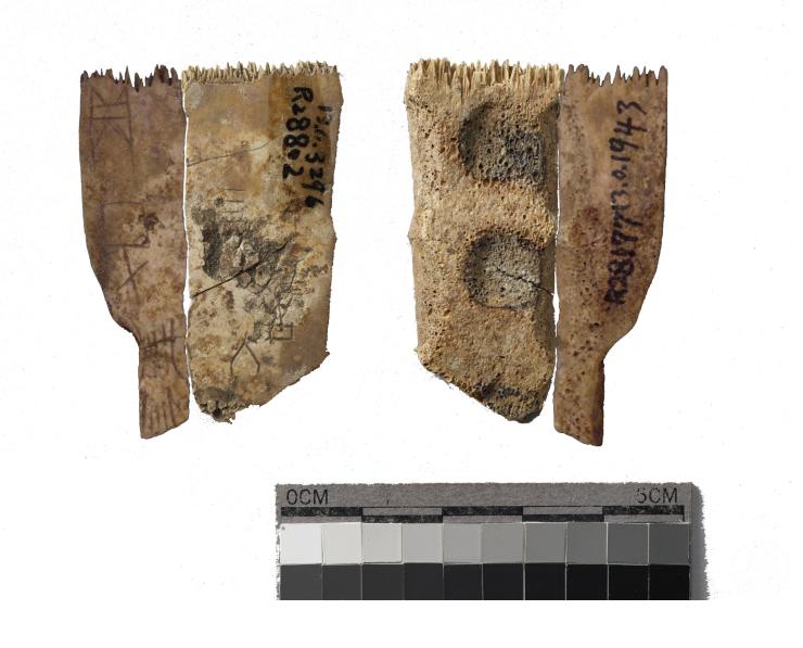 乙编1016+乙编1528