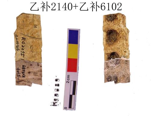 4bb56b1017138d5834f71d1f21646316