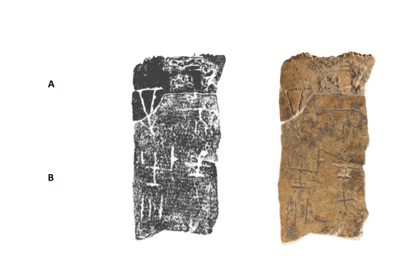 6d81e8cd921bb33c099fa229a6c6ad29