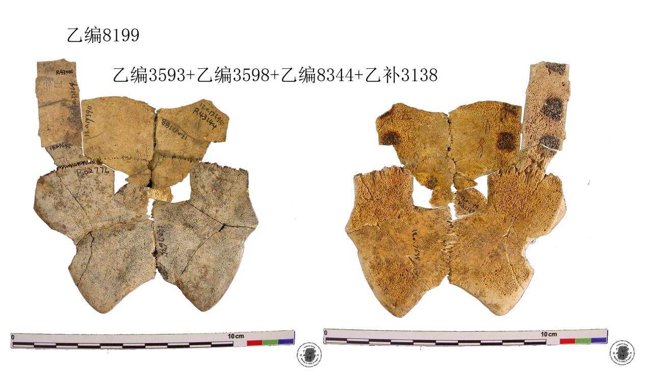 乙编8199+乙补3138