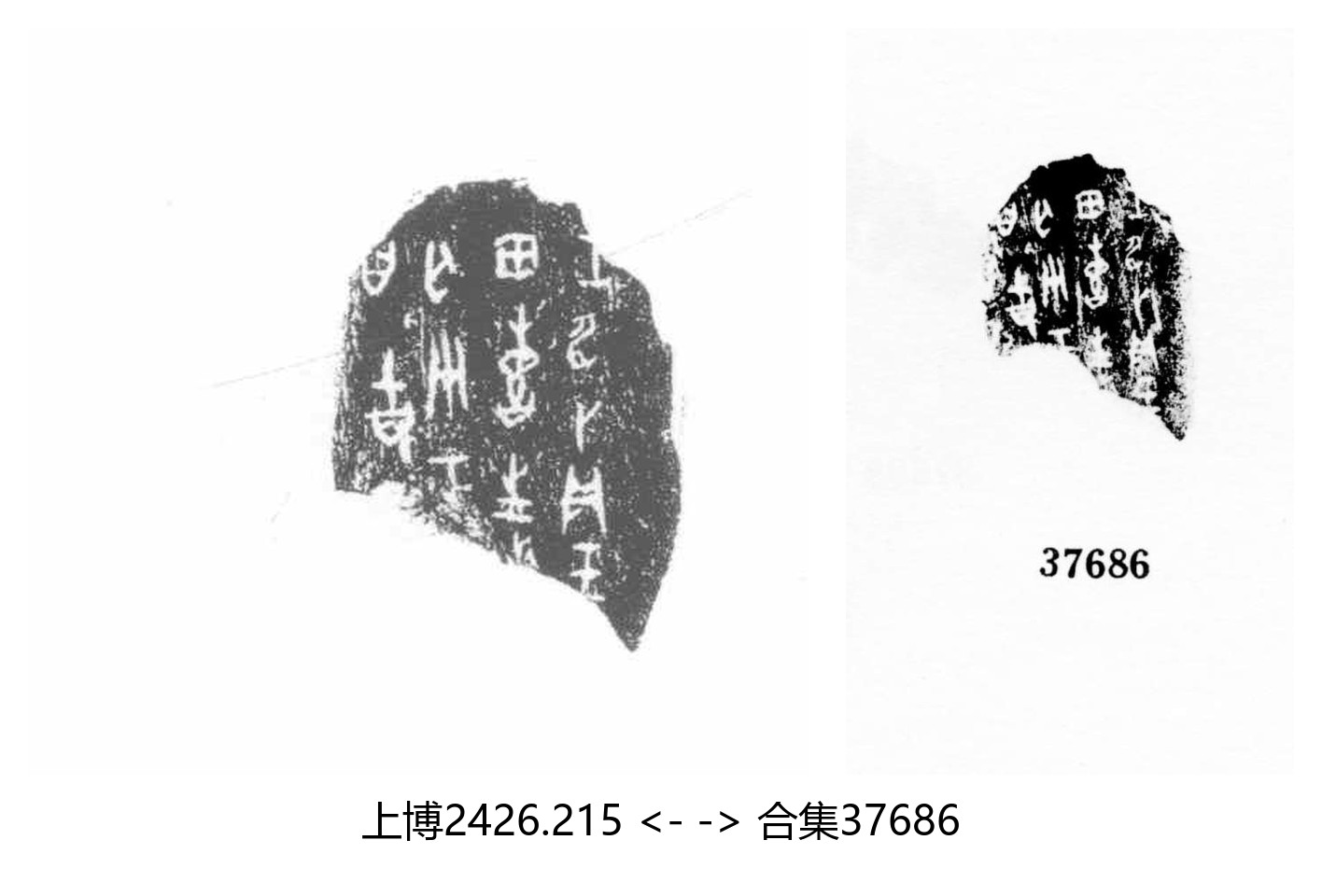 上博2426.215 ↔ 合集37686-重片效果图