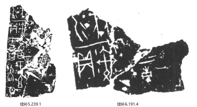 《甲骨续存补编》（续补）自重（内部校重）成果534组